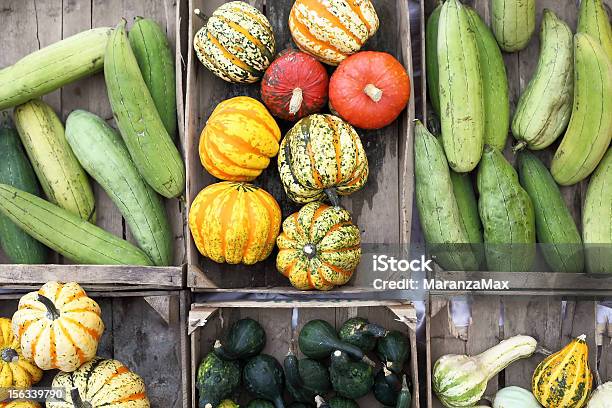 野菜の幾何学的なパターンで配置されます - ウリ類のストックフォトや画像を多数ご用意 - ウリ類, 並んでいる, 人物なし