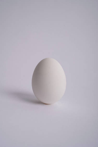 istock photo of an egg with a white background 1563405552