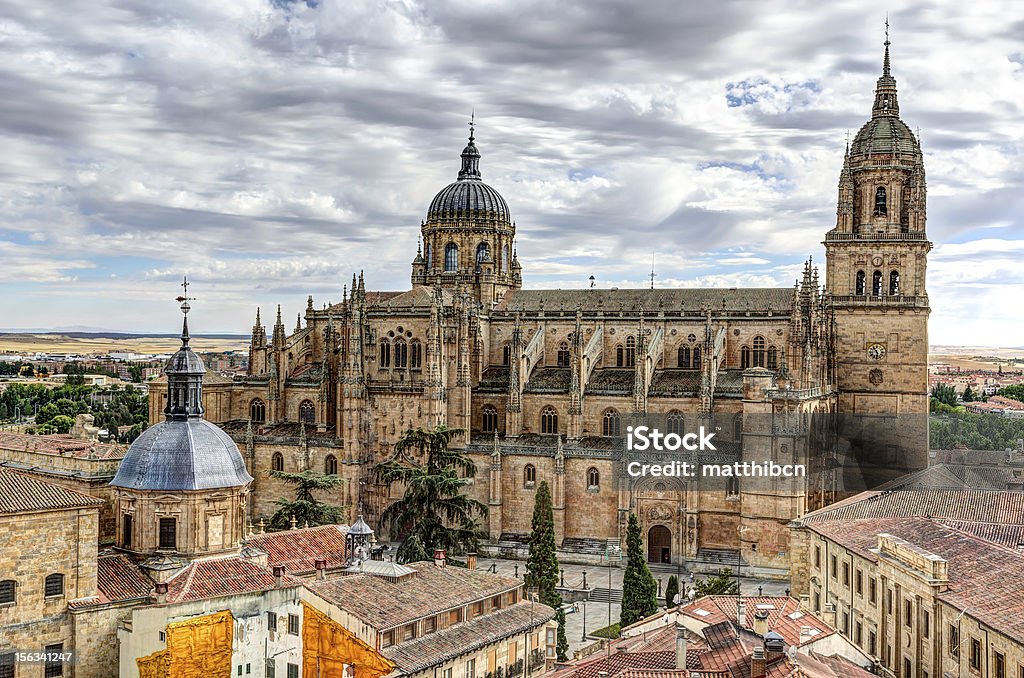 Cattedrale di Salamanca, Spagna - Foto stock royalty-free di Ambientazione esterna