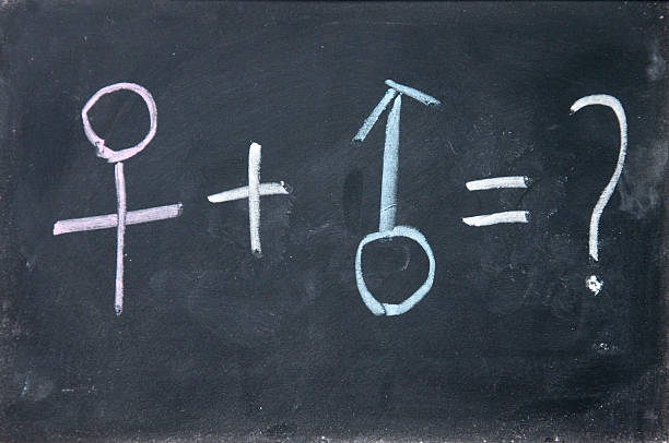 istock man and woman sign drawn with chalk on blackboard 156341321