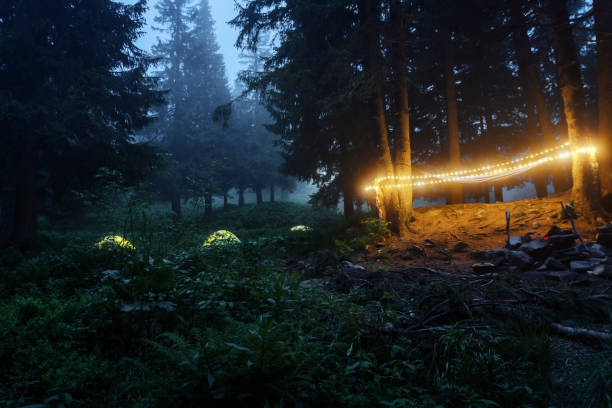 istock Tents glow at night in the forest , Carpathian mountain 1563447362