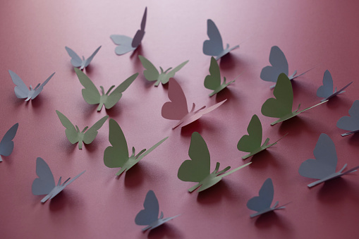 Butterflies cut out of paper on a color background