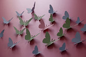 Color paper butterflies