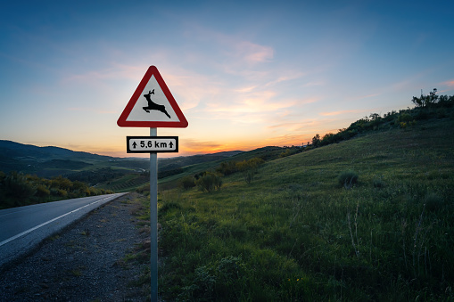 Wild Animals warning traffic sign on a road at sunset - Zahara de la Sierra, Andalusia, Spain