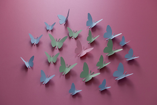 Butterflies cut out of paper on a color background