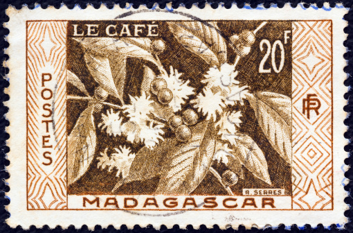 MADAGASCAR - CIRCA 1956: A stamp printed in Madagascar shows Coffee.