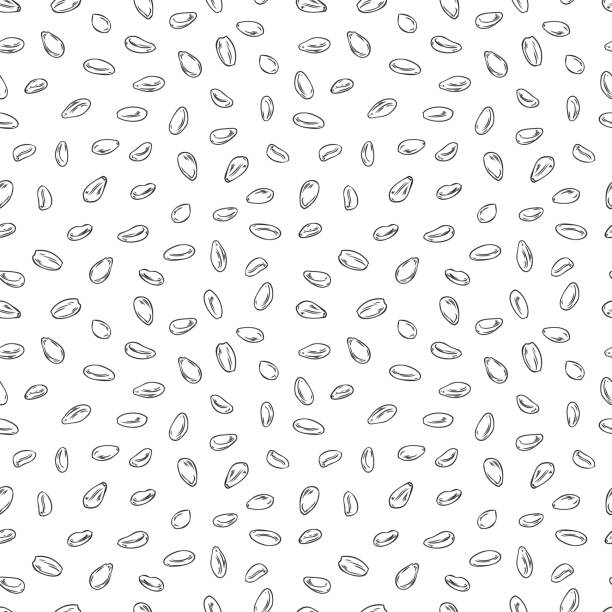 ilustrações de stock, clip art, desenhos animados e ícones de sesame seeds seamless pattern, monochrome sketch vector illustration on white background. hand drawn sesame seeds. concept of food, cooking and agriculture. - sesame