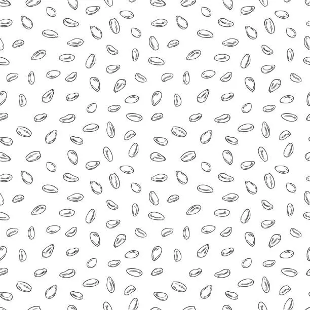 Vector illustration of Sesame seeds seamless pattern, monochrome sketch vector illustration on white background. Hand drawn sesame seeds. Concept of food, cooking and agriculture.