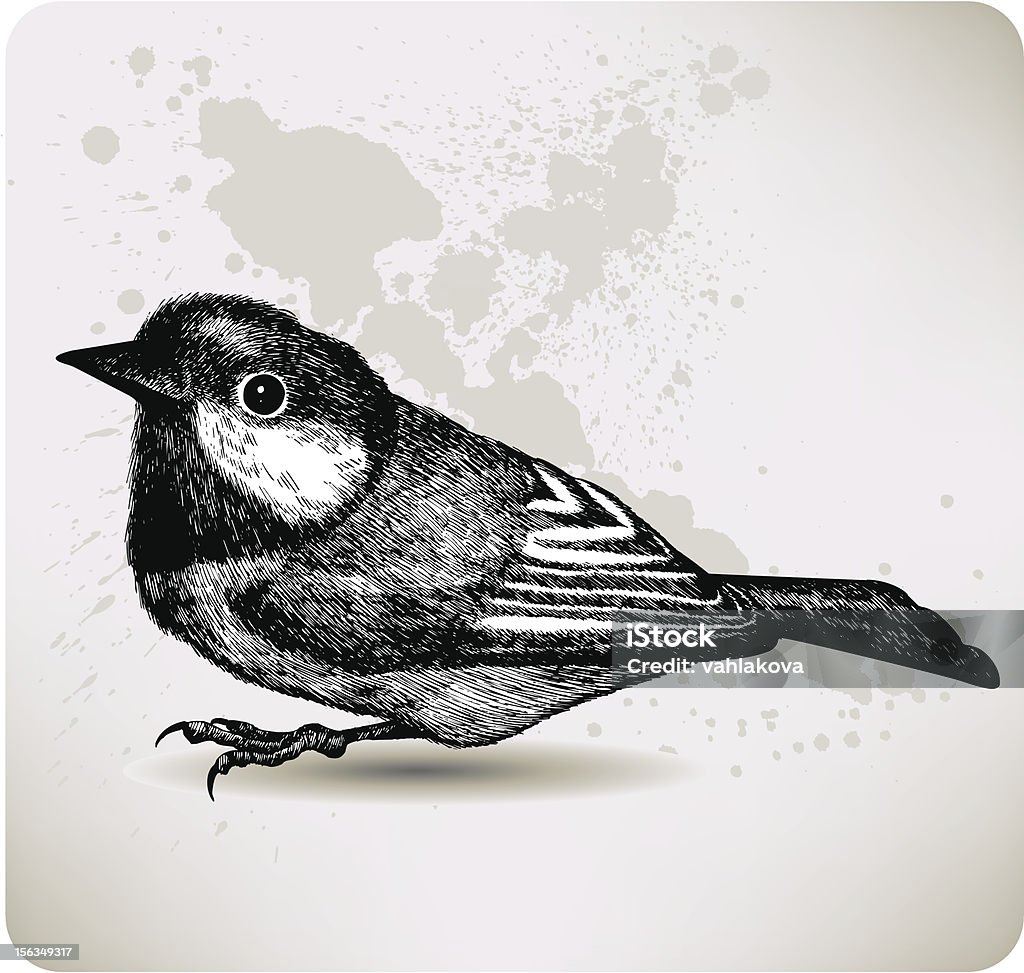 Pájaro titmouse, de la mano con el dibujo. Ilustración vectorial. - arte vectorial de Ilustración libre de derechos