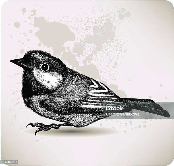 Ilustración de Pájaro Titmouse De La Mano Con El Dibujo Ilustración Vectorial y más Vectores Libres de Derechos de Ilustración