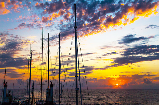 Silhouettes of the masts of sailing yachts on a sunset background.
