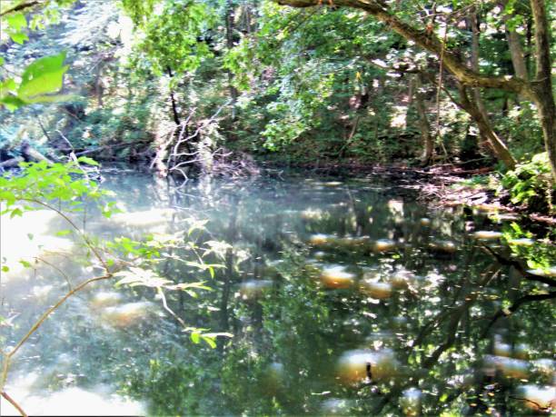 istock Japan. Magic lake in the forest. Impression. 1563516066
