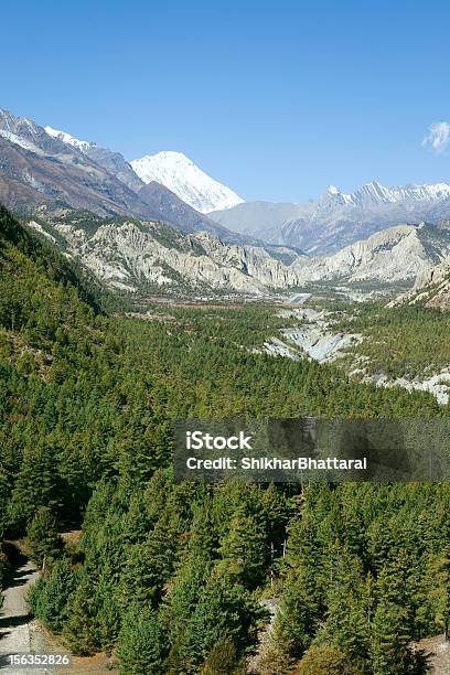 Bosque De Pinos De Manang Nepal Foto de stock y más banco de imágenes de Aeropuerto - Aeropuerto, Annapurna, Asia