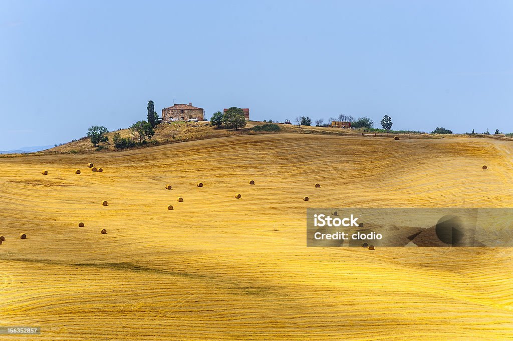 Farm in Val d'Orcia (Tuscany) Landscape in Val d'Orcia (Siena, Tuscany, Italy) at summer Agricultural Field Stock Photo