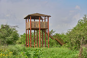 Watch tower in a forest
