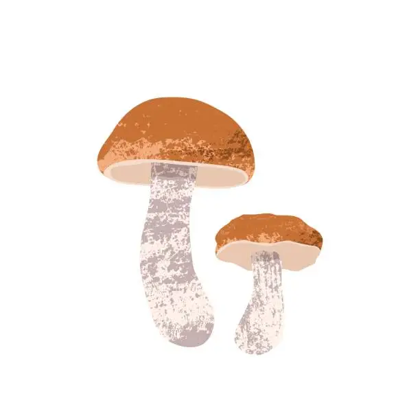 Vector illustration of Stylish vector illustration with trendy textures of a large and small porcini mushroom.