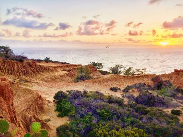 parco statale torrey pines - torrey pines state reserve foto e immagini stock