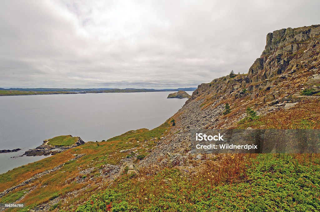 Falaises de l'océan, sur la côte de la province de Terre-Neuve - Photo de Beauté de la nature libre de droits