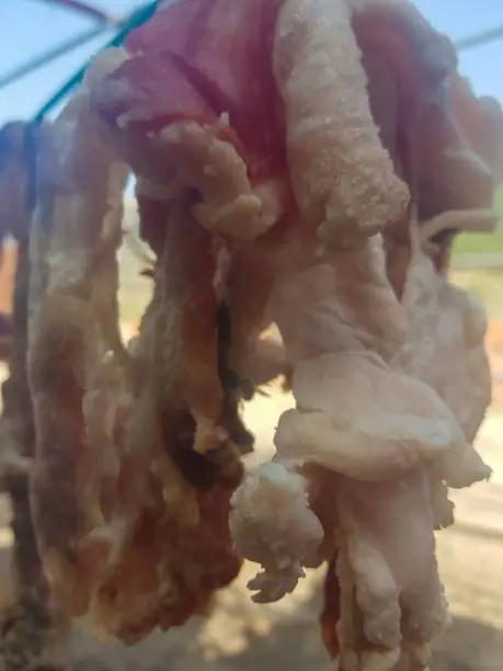 Photo of Dry meat suspended naturally on a rope