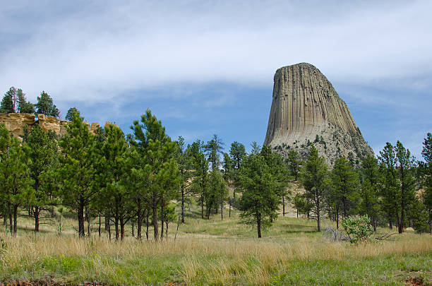istock Devil's Tower National Monument, Wyoming, USA 156357510