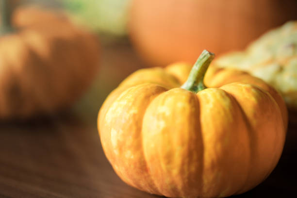 istock Pumpkins on wooden background 1563592016