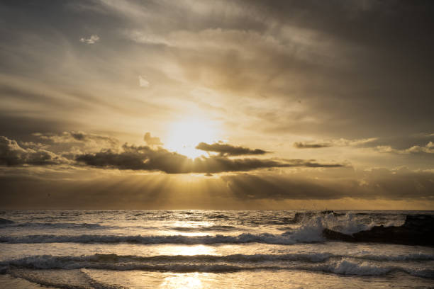istock Kylies Beach, Crowdy Bay National Park 1563593670