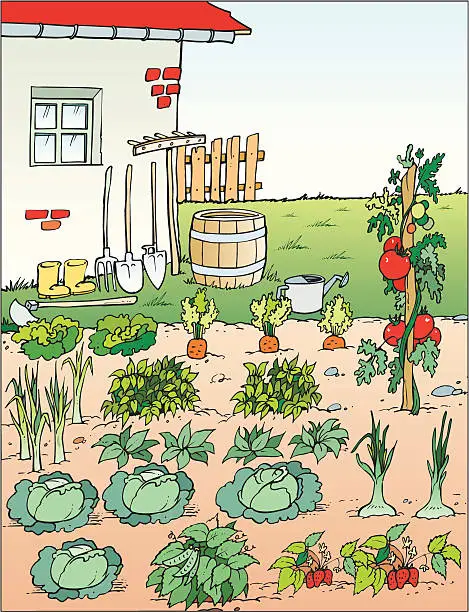Vector illustration of Garden