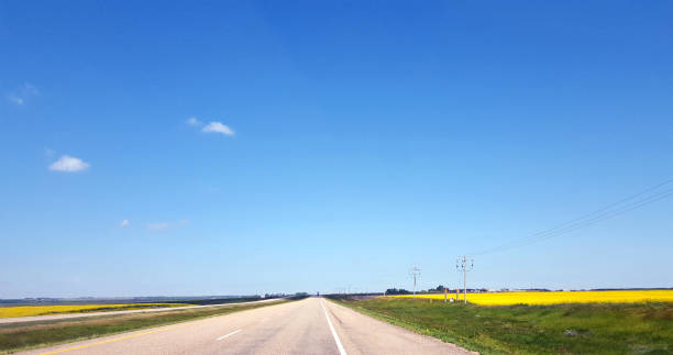 Saskatchewan Highway Heading West From Regina In July