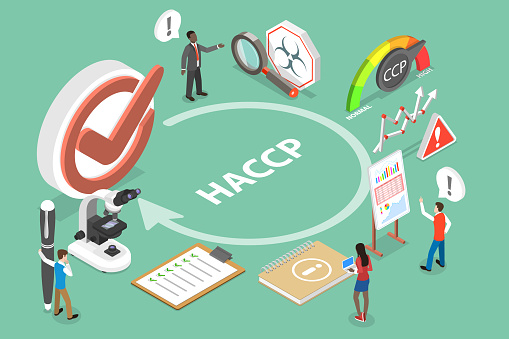 3D Isometric Flat Vector Conceptual Illustration of Hazard Analysis and Critical Control Points, HACCP Steps