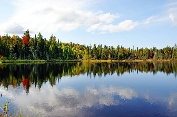 istock Fall season at a northern lake 156365810