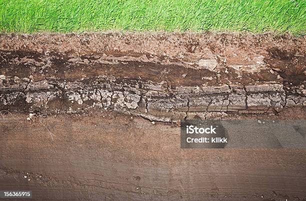 Real Grass And Several Underground Soil Layers Stock Photo - Download Image Now - Cross Section, Dirt, Yard - Grounds