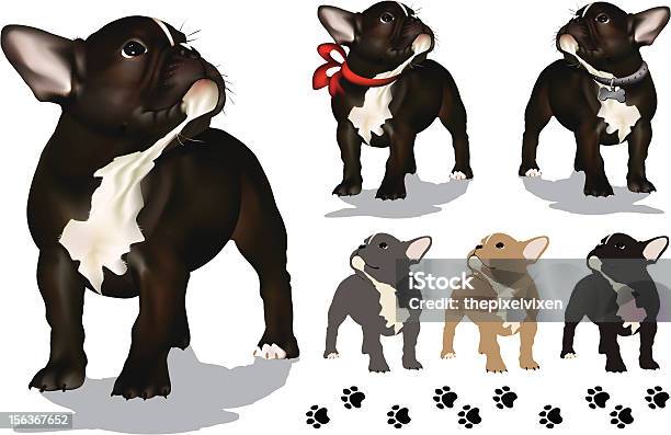 French Bulldog Puppy Stock Illustration - Download Image Now - French Bulldog, Bulldog, French Culture