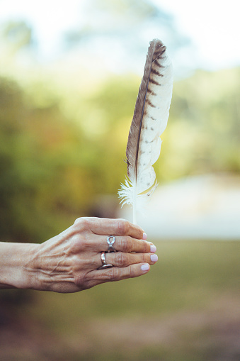Close-up of female adult caucasian hand holding feather over nature background