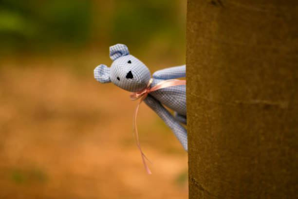 istock toy bear looks out from behind a tree 1563695858