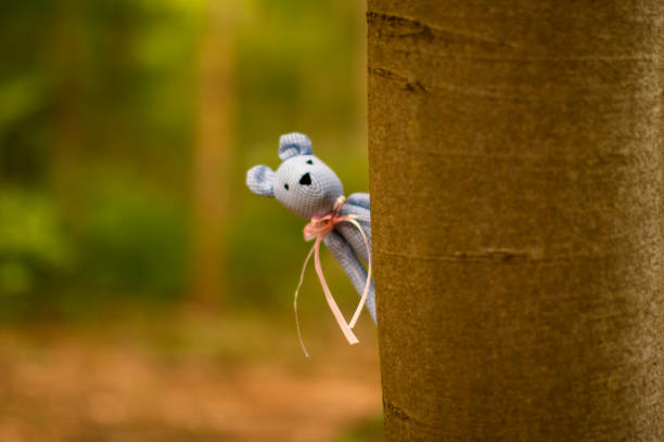 toy bear looks out from behind a tree