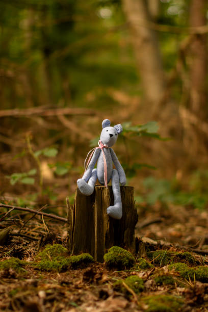 istock toy bear sits on a stump in the forest 1563696419
