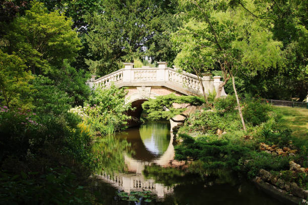 istock An ancient bridge in a Parisian park 1563698507