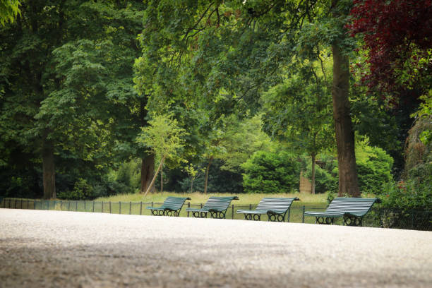 istock A row of benches in the park 1563700070
