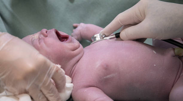 istock newborn being examined by doctor using stethoscope 1563715917