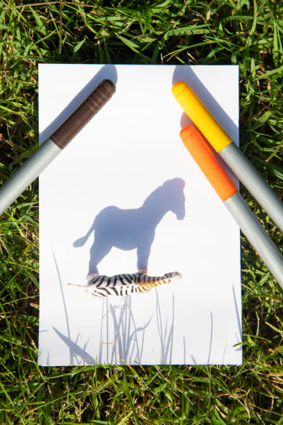 istock Contrasting shadow from the toy figure of zebra 1563737077