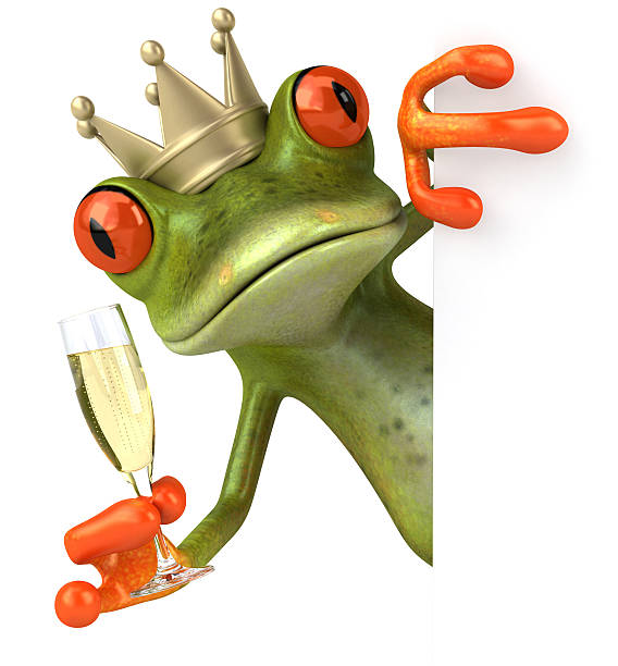 rana e champagne - frog three dimensional shape animal green foto e immagini stock