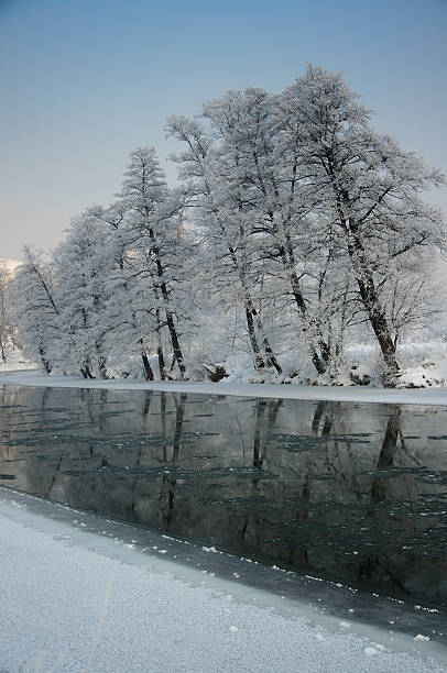 Frosty winter on the river. stock photo