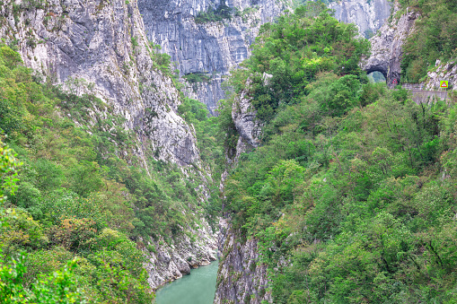 Canyon with high rocky cliffs . Mountain landscape with green trees and a narrow river in the gorge