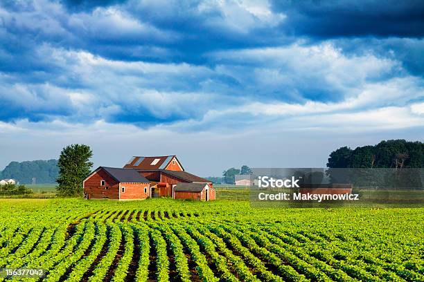 Foto de American Country e mais fotos de stock de Indiana - Indiana, Fazenda, EUA