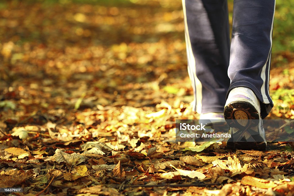 Woman walking cross country trail in autumn forest Woman walking cross country and trail in autumn forest Shoe Stock Photo