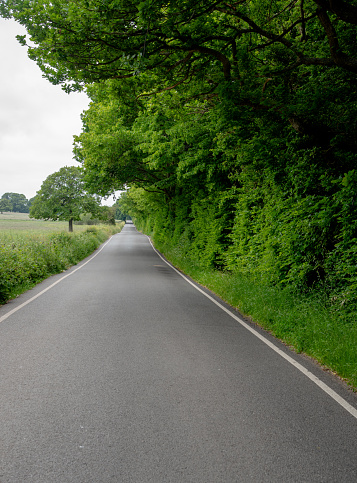 Empty asphalt two way road in the countryside with green trees. Nature rural landscape. Blean Woods England
