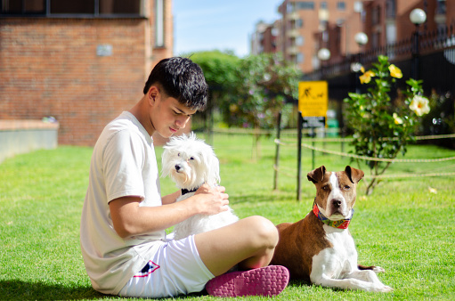 teen boy playing with dogs in park