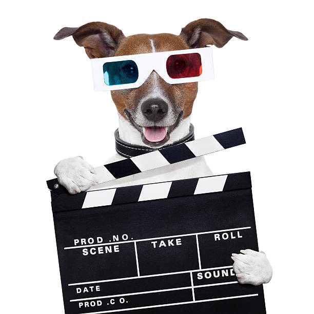 istock movie clapper board 3d glasses dog 156384018