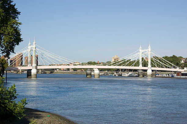 istock Albert Bridge, Battersea, London 156384316