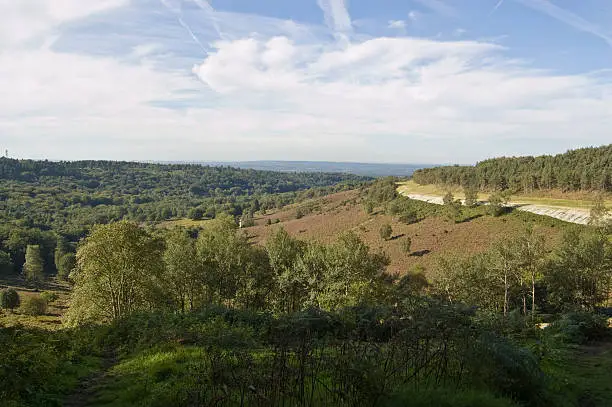 View from Hindhead Common of the deep valley known as the Devil's Punchbowl in Surrey.  Traffic on the main A3 road has now been buried in a tunnel which can be seen on the right hand side.